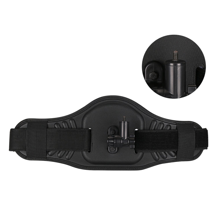Waist Belt Mount Strap with Adapter & Screw for GoPro, Insta360, DJI and Other Action Cameras(Black) - Chest Belt by PMC Jewellery | Online Shopping South Africa | PMC Jewellery | Buy Now Pay Later Mobicred