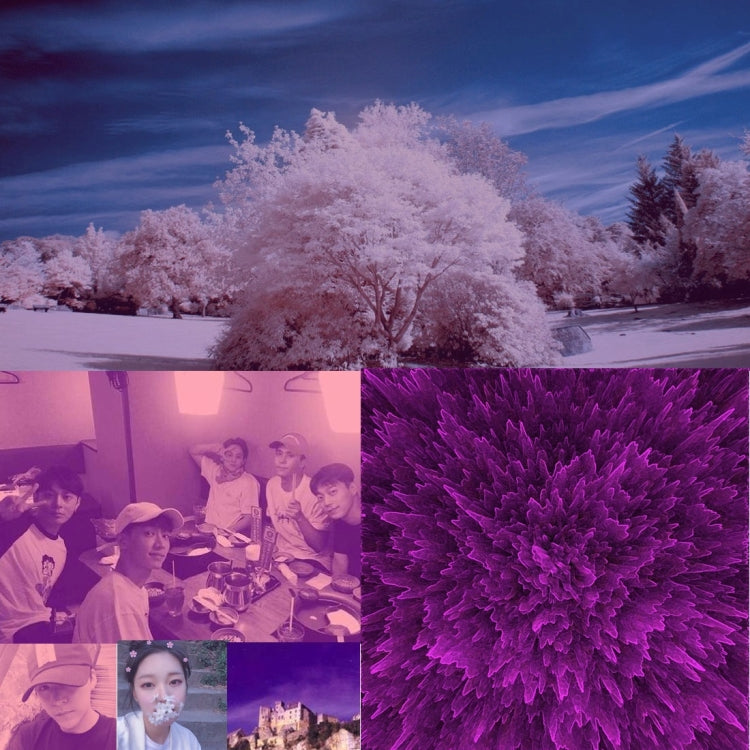 JUNESTAR 3 in 1 Proffesional 58mm Lens Filter(CPL + UV + FLD / Purple) for GoPro & Xiaomi Xiaoyi Yi Sport Action Camera - Lens Filter by JSR | Online Shopping South Africa | PMC TechLife | Buy Now Pay Later Mobicred