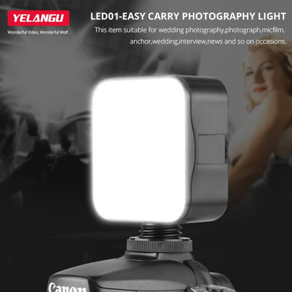 YELANGU LED01 49 LED Video Light for Camera / Video Camcorder (Black) - free shipping - PMC Jewellery - Order now!