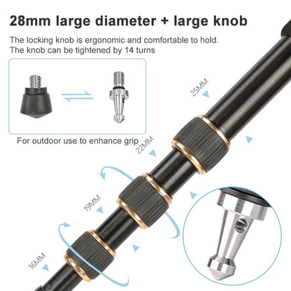 TRIOPO 554 Adjustable Portable  Aluminum Alloy Tripod with D-2A Ball Head for SLR Camera - free shipping - PMC Jewellery - Order now!