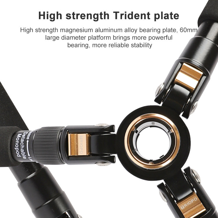 TRIOPO 554 Adjustable Portable  Aluminum Alloy Tripod with D-2A Ball Head for SLR Camera - free shipping - PMC Jewellery - Order now!