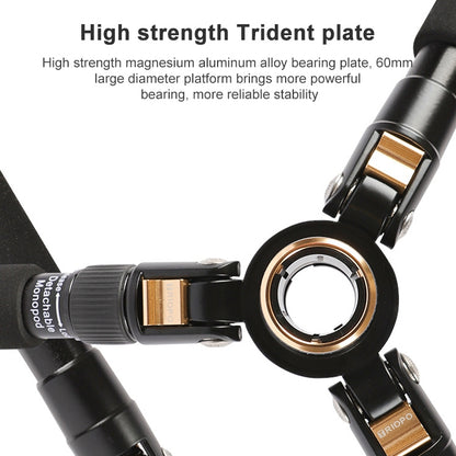 TRIOPO 554 Adjustable Portable  Aluminum Alloy Tripod with D-2A Ball Head for SLR Camera - free shipping - PMC Jewellery - Order now!