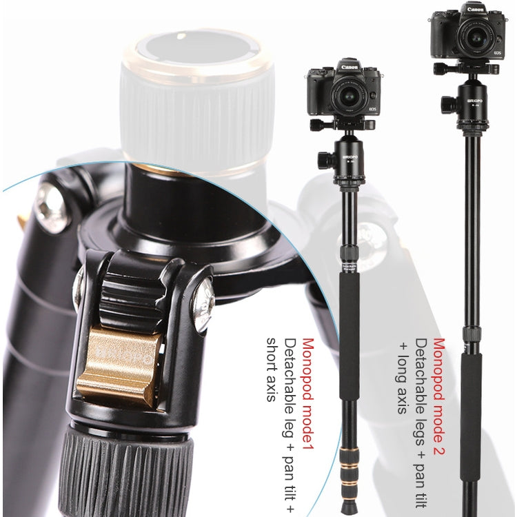 TRIOPO 554 Adjustable Portable  Aluminum Alloy Tripod with D-2A Ball Head for SLR Camera - free shipping - PMC Jewellery - Order now!