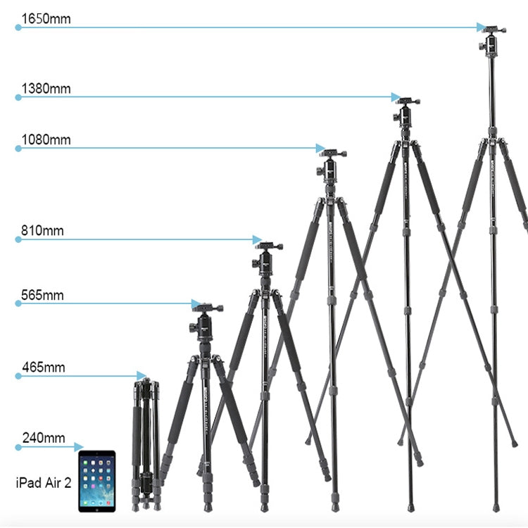 TRIOPO 554 Adjustable Portable  Aluminum Alloy Tripod with D-2A Ball Head for SLR Camera - free shipping - PMC Jewellery - Order now!