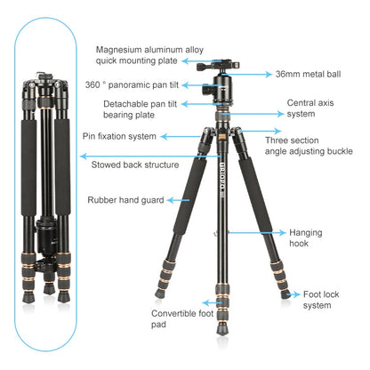TRIOPO 554 Adjustable Portable  Aluminum Alloy Tripod with D-2A Ball Head for SLR Camera - free shipping - PMC Jewellery - Order now!