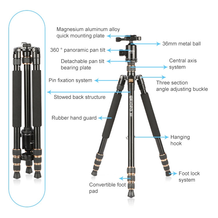 TRIOPO 554 Adjustable Portable  Aluminum Alloy Tripod with D-2A Ball Head for SLR Camera