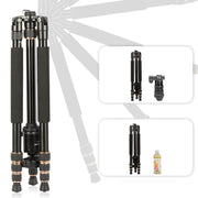 TRIOPO 554 Adjustable Portable  Aluminum Alloy Tripod with D-2A Ball Head for SLR Camera