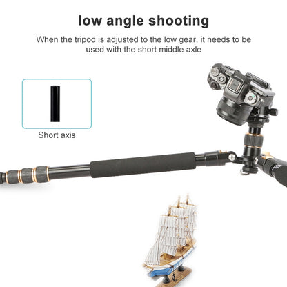 TRIOPO 554 Adjustable Portable  Aluminum Alloy Tripod with D-2A Ball Head for SLR Camera - free shipping - PMC Jewellery - Order now!