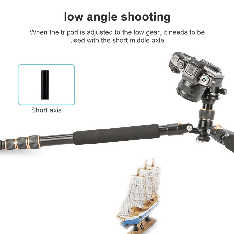TRIOPO 554 Adjustable Portable  Aluminum Alloy Tripod with D-2A Ball Head for SLR Camera