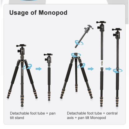 TRIOPO 554 Adjustable Portable  Aluminum Alloy Tripod with D-2A Ball Head for SLR Camera - free shipping - PMC Jewellery - Order now!