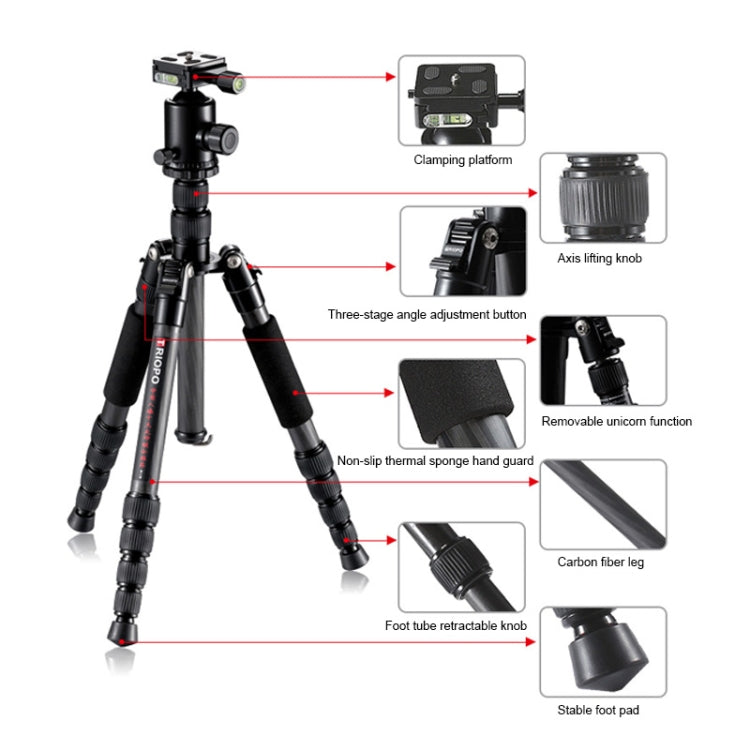 TRIOPO T259G+Q2 Adjustable Portable Carbon Fiber Tripod with Q-2 Ball Head for SLR Camera - free shipping - PMC TechLife - Order now!