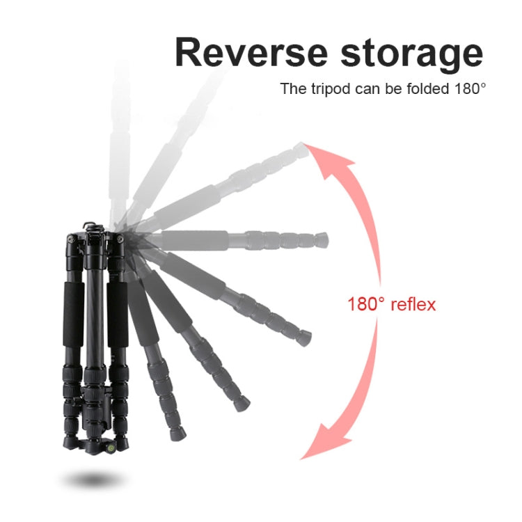 TRIOPO T259G+Q2 Adjustable Portable Carbon Fiber Tripod with Q-2 Ball Head for SLR Camera - free shipping - PMC TechLife - Order now!