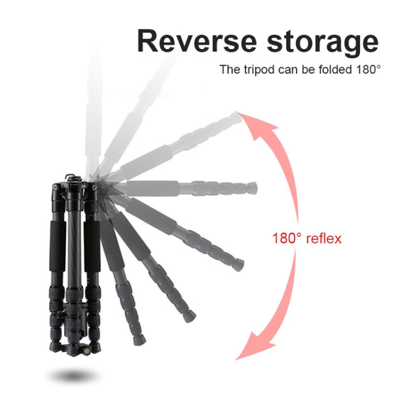 TRIOPO T259G+Q2 Adjustable Portable Carbon Fiber Tripod with Q-2 Ball Head for SLR Camera