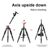 TRIOPO T259G+Q2 Adjustable Portable Carbon Fiber Tripod with Q-2 Ball Head for SLR Camera