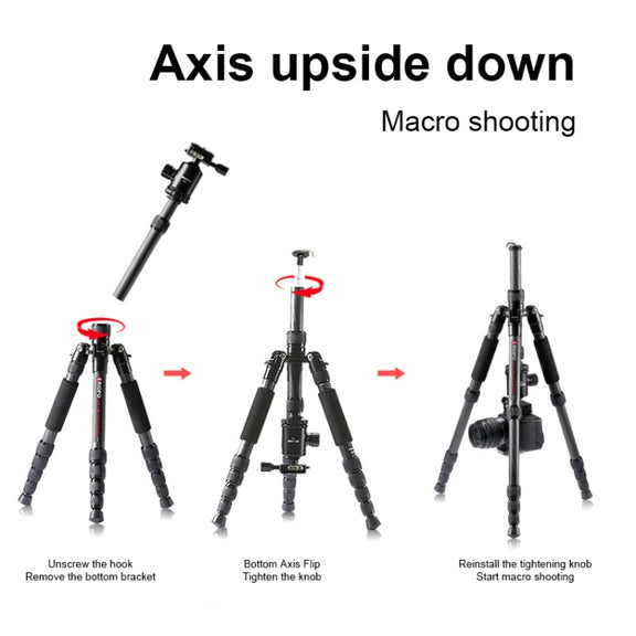 TRIOPO T259G+Q2 Adjustable Portable Carbon Fiber Tripod with Q-2 Ball Head for SLR Camera