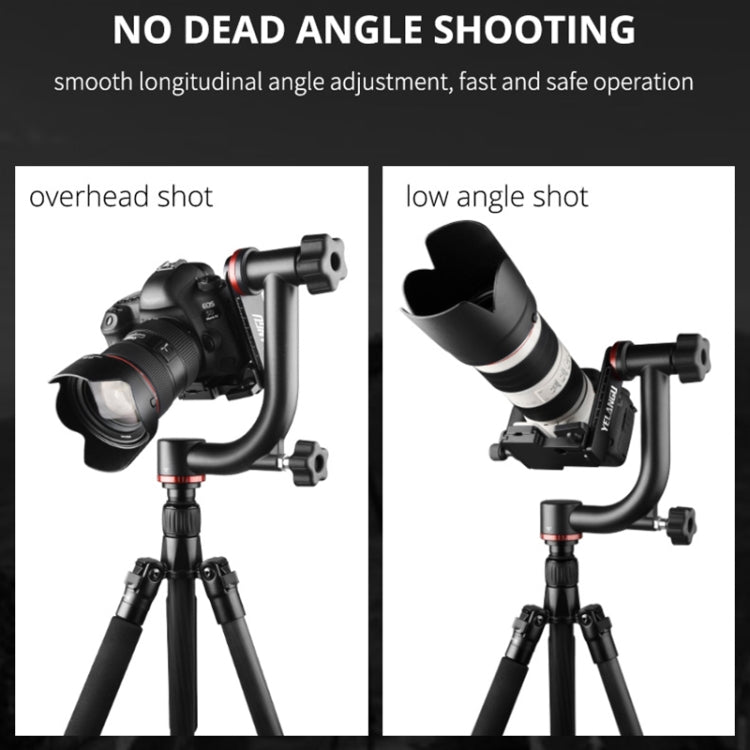 YELANGU  A201 360 Degree Horizontal Gimbal Tripod Head for DV and SLR Cameras (Black) - free shipping - PMC Jewellery - Order now!