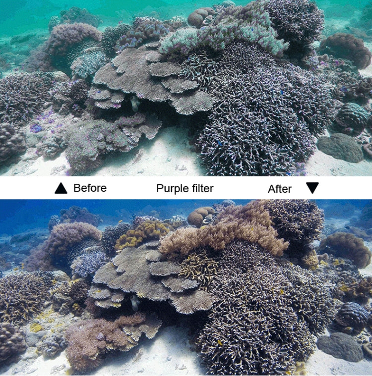 45m Waterproof Housing Protective Case + Touch Screen Back Cover for GoPro NEW HERO /HERO6 /5, with Buckle Basic Mount & Screw & (Purple, Red, Pink) Filters, No Need to Remove Lens (Transparent) - Waterproof Cases by PMC TechLife | Online Shopping South Africa | PMC TechLife | Buy Now Pay Later Mobicred