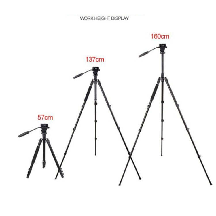 TRIOPO K2808 Aluminum Tripod Mount with HY-350 Heavy Duty Damping Head (Black)