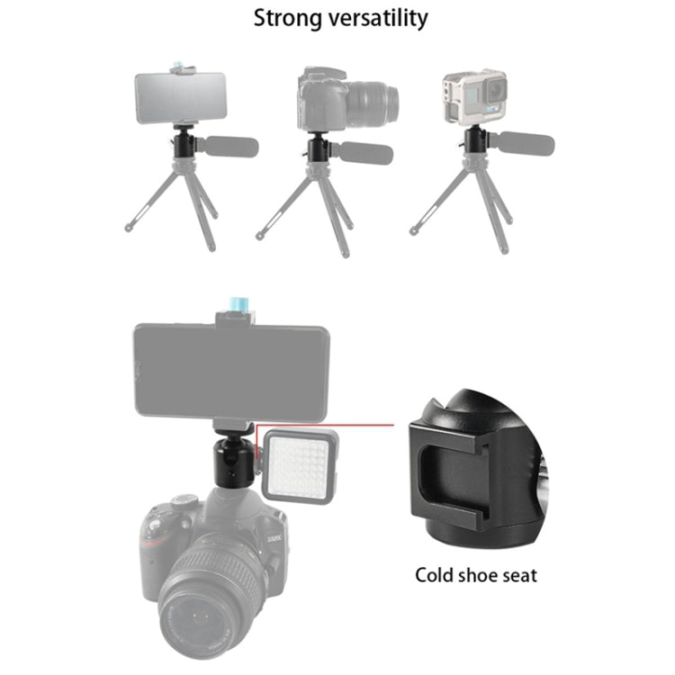 BEXIN HK25 Aluminum Alloy Cold Shoe Tripod Adapter Ball Head (Black)