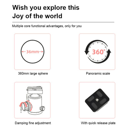 TRIOPO D-2A 360 Degree Rotation Aluminum Alloy Tripod 36mm Ball Head with Quick Release Plate - free shipping - PMC Jewellery - Order now!