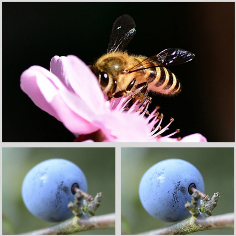 JSR Round Housing 5 in 1 UV+NIGHT+ND1000+ND64+16X Macro Lens Filter for GoPro HERO8 Black - free shipping - PMC TechLife - Order now!