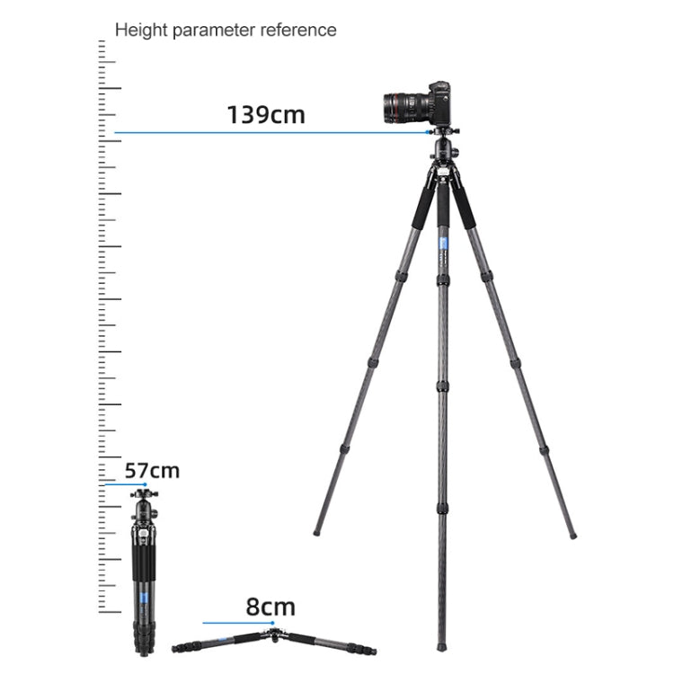 BEXIN RC294 Portable Collapsible Carbon Fiber Camera Tripod with K44 Panoramic Ball Head