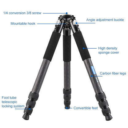 BEXIN RC334 Portable Collapsible Carbon Fiber Camera Tripod with K44 Panoramic BallHead - free shipping - PMC Jewellery - Order now!