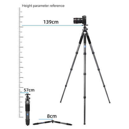 BEXIN RC334 Portable Collapsible Carbon Fiber Camera Tripod with K44 Panoramic BallHead - free shipping - PMC Jewellery - Order now!