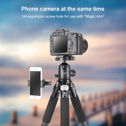 BEXIN RC334 Portable Collapsible Carbon Fiber Camera Tripod with K44 Panoramic BallHead - free shipping - PMC Jewellery - Order now!