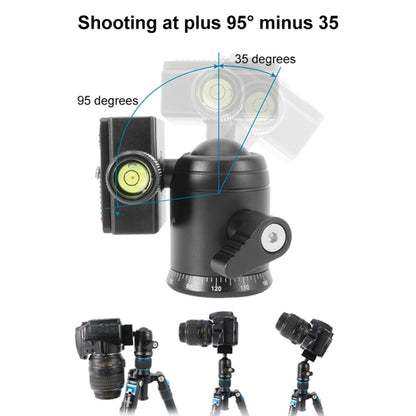 BEIXIN QB-30  360 Degree Rotation Panorama Metal Ball Head with Quick Release Plate - free shipping - PMC Jewellery - Order now!