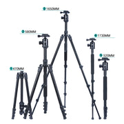 TRIOPO Oubao A-308S Adjustable Portable  Aluminum Alloy Tripod with Ball Head for SLR Camera