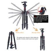 TRIOPO Oubao A-208S Adjustable Portable  Aluminum Alloy Tripod with Ball Head for SLR Camera