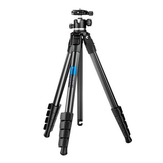 BEXIN TA255-BS30 Portable Collapsible Aluminum Alloy Camera Tripod with Head (Black) - free shipping - PMC Jewellery - Order now!