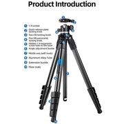 BEXIN TA255-BS30 Portable Collapsible Aluminum Alloy Camera Tripod with Head (Black)