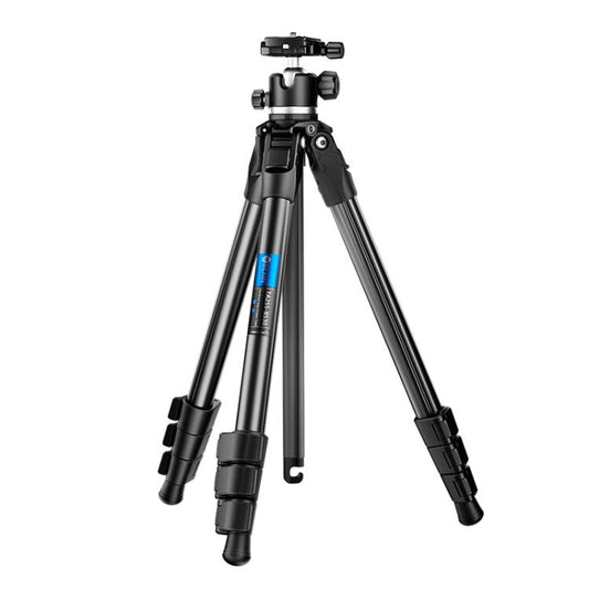BEXIN TA254-BS30 Portable Collapsible Aluminum Alloy Camera Tripod with Head (Black) - free shipping - PMC Jewellery - Order now!