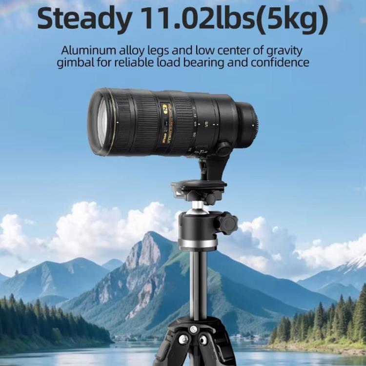 BEXIN TA254-BS30 Portable Collapsible Aluminum Alloy Camera Tripod with Head (Black) - free shipping - PMC TechLife - Order now!