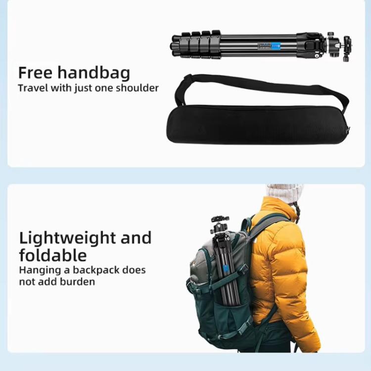 BEXIN TA254-BS30 Portable Collapsible Aluminum Alloy Camera Tripod with Head (Black) - free shipping - PMC TechLife - Order now!