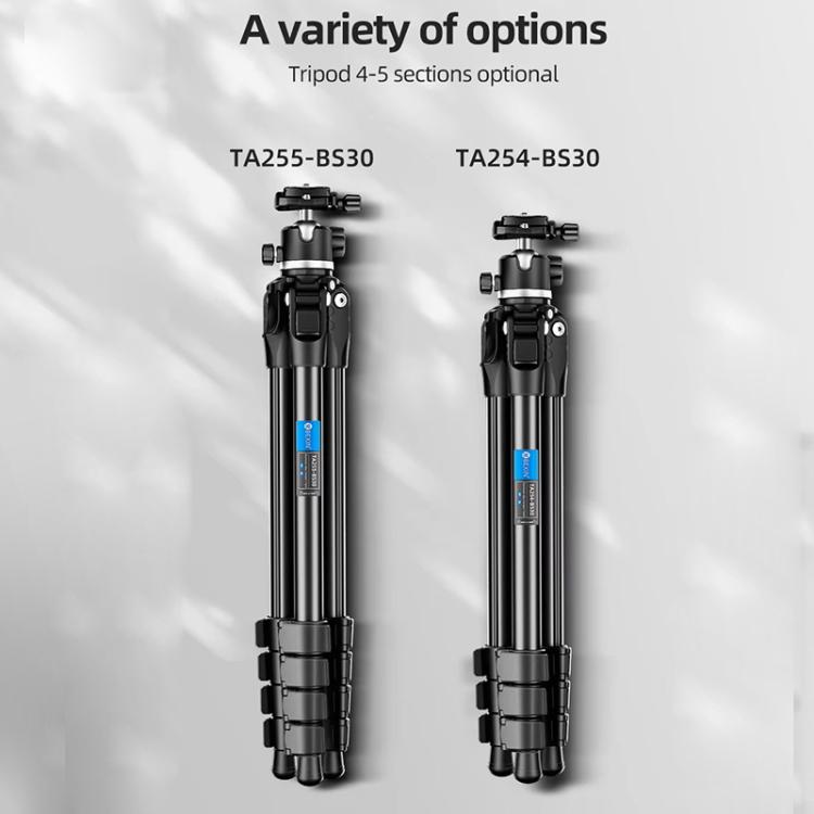 BEXIN TA254-BS30 Portable Collapsible Aluminum Alloy Camera Tripod with Head (Black) - free shipping - PMC TechLife - Order now!