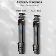 BEXIN TA254-BS30 Portable Collapsible Aluminum Alloy Camera Tripod with Head (Black)