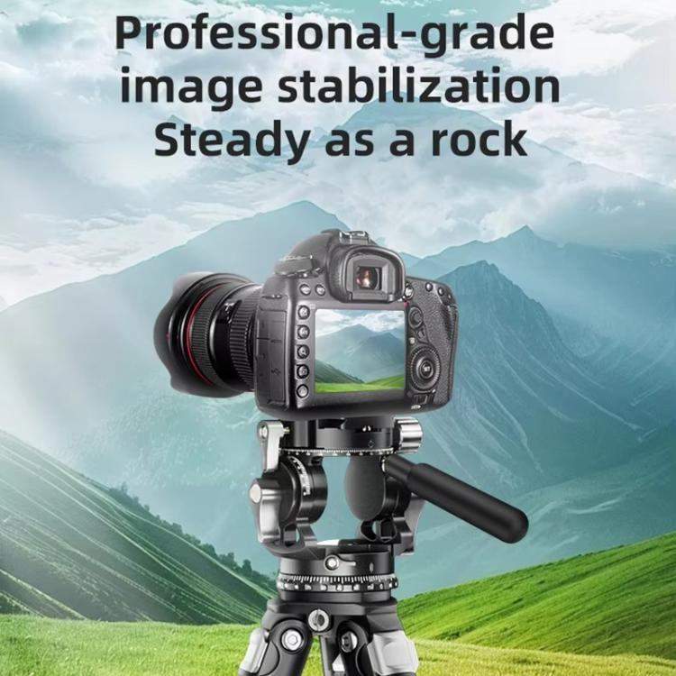 BEXIN RK294 Portable Collapsible Aluminum Alloy Camera Tripod (Black) - free shipping - PMC Jewellery - Order now!