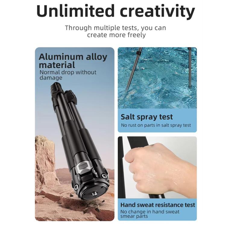 BEXIN RK294 Portable Collapsible Aluminum Alloy Camera Tripod (Black) - free shipping - PMC Jewellery - Order now!
