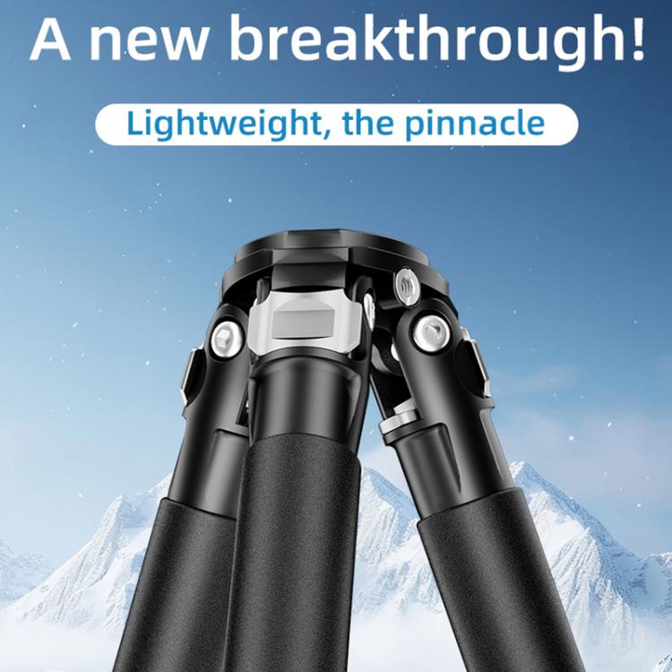 BEXIN RK264 Portable Collapsible Aluminum Alloy Camera Tripod (Black)