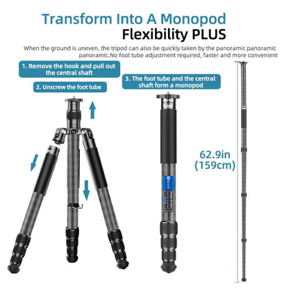BEXIN W-334C Portable DSLR Camera 2 in 1 Carbon Fiber Tripod Detachable Monopod (Black) - free shipping - PMC Jewellery - Order now!