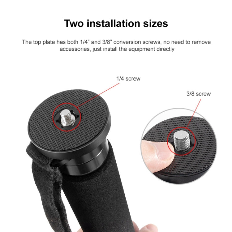 BEXIN P365C Camera Carbon Fiber Monopod Travel Live Selfie Bracket Holder - Monopods by BEXIN | Online Shopping South Africa | PMC TechLife | Buy Now Pay Later Mobicred