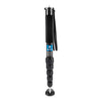 BEXIN P336C Camera Carbon Fiber Monopod Travel Live Selfie Bracket Holder - Monopods by BEXIN | Online Shopping South Africa | PMC TechLife | Buy Now Pay Later Mobicred