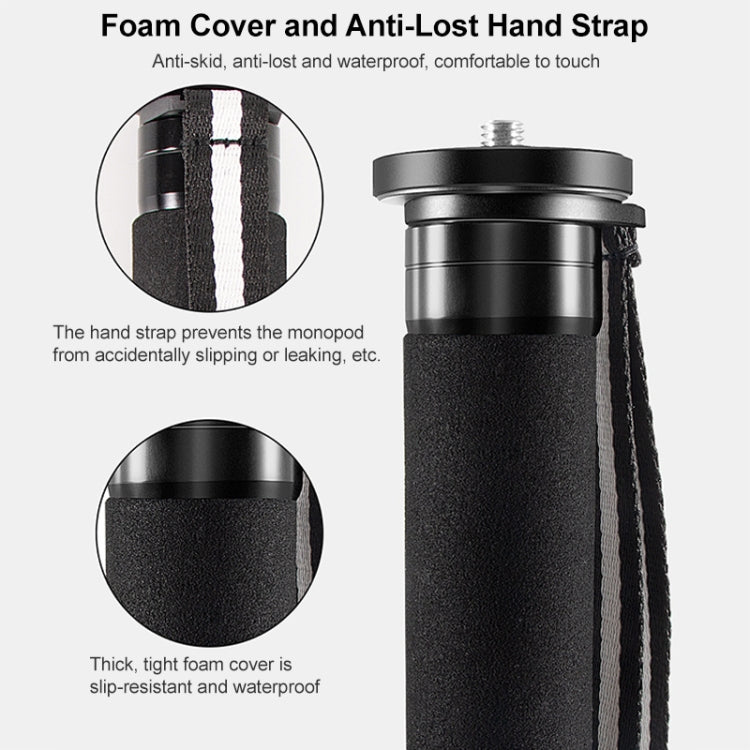 BEXIN P336C Camera Carbon Fiber Monopod Travel Live Selfie Bracket Holder - Monopods by BEXIN | Online Shopping South Africa | PMC TechLife | Buy Now Pay Later Mobicred