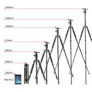 TRIOPO M2508 Multifunction Adjustable 4-Section Portable Aluminum Alloy Tripod Monopod with D-2A Ball Head for SLR Camera