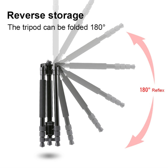 TRIOPO M2508 Multifunction Adjustable 4-Section Portable Aluminum Alloy Tripod Monopod with D-2A Ball Head for SLR Camera