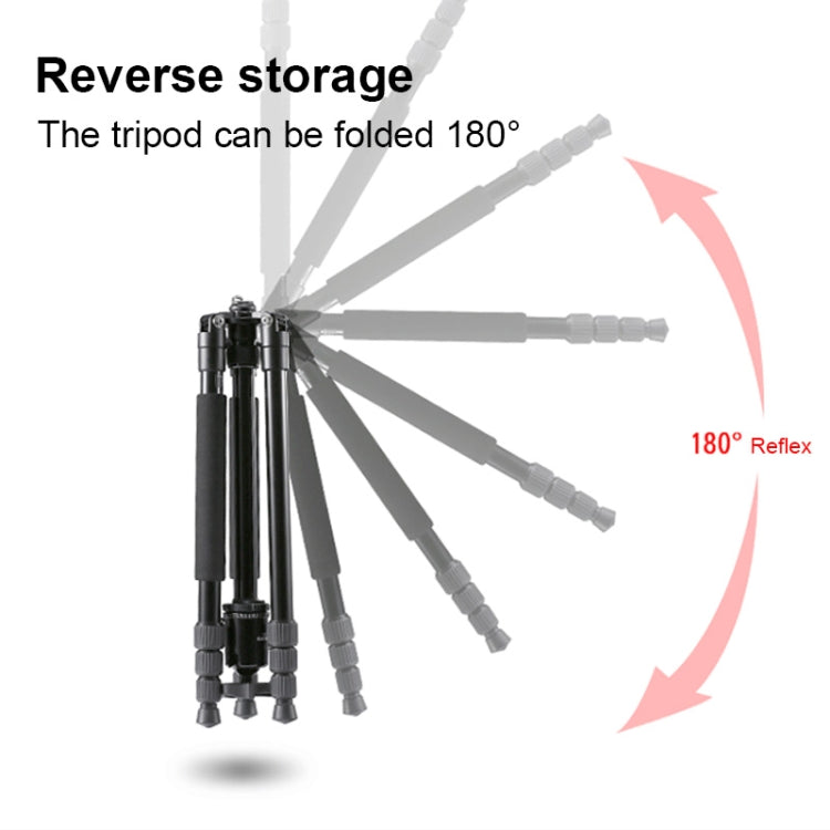 TRIOPO M2508 Multifunction Adjustable 4-Section Portable Aluminum Alloy Tripod Monopod with D-2A Ball Head for SLR Camera