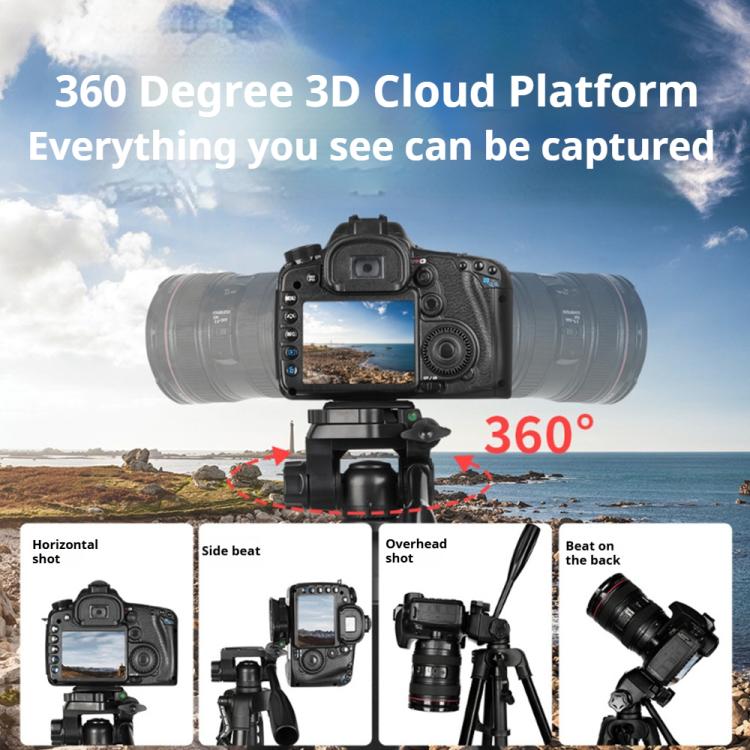 DCA5124B_12.jpg@aacc25666f61348fb56d44e63b7e5aa2